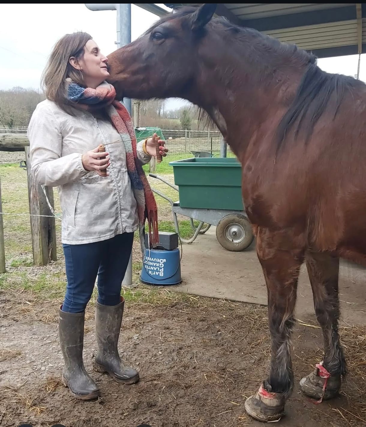 Communication animale