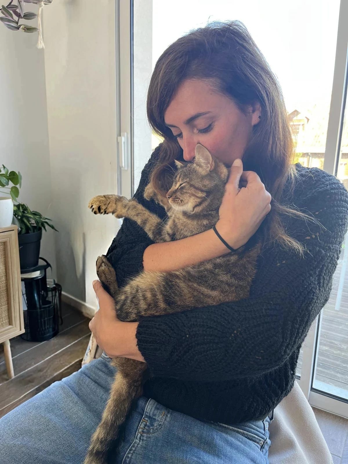 Communication animale